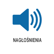 uslugi naglosnienia